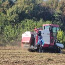 대호지축산 이미지