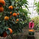 창원제2농장 이미지