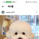 매이븐 이미지