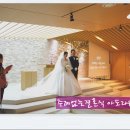 알리앙스 이미지