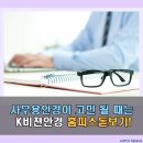 오룡안경 이미지