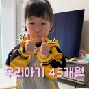 자람유치원 | 육종지 미술놀이/설날 보내기/로보카폴리 뮤지컬/숫자세기/어린이집 졸업/가루야 가루야/ 유치원 등원시작)