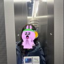 니즈영어학원 | 강남영어회화학원 생생한 직장인 수강 후기
