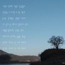 봉감모전5층석탑 옆 이미지