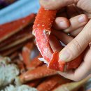 대영오토 이미지