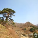 지리산 이미지