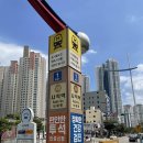 부산 사직동 헤엄 수영 용품샵 오리발 구매후기 with DMC 엘리트 맥스