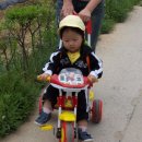 삼겹살파티 - 서귀포시 | 삼겹살파티