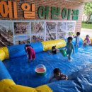 꽃게 의자 이미지