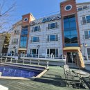 베베올레 이미지