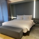 2023 안다즈 서울강남 (Andaz seoul gangnam)