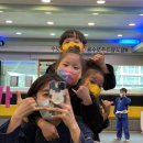 용인대 특전합기도 이미지