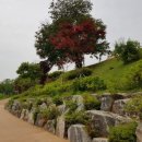 갯골캠핑장 이미지