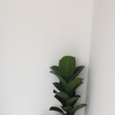 558 헤어 살롱 이미지