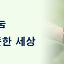 가이오국수 중앙대점