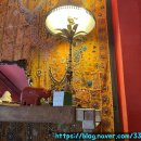 미드나잇 롤러코스터 클럽 이미지