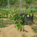 별샘농장 이미지