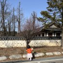 꿀밥스 | 강원도 가족 여행 01 (옛날초당순두부, 갤러리밥스 초당옥수수커피, 정동진 썬크루즈 호텔 조각공원...