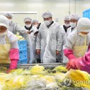 서울원예농업협동조합 이미지