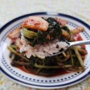 보성녹차김치 | 보성녹차김치 얼갈이+열무김치 솔직 후기