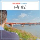 건대 포켓볼 락큐 이미지