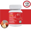 이누카 이미지