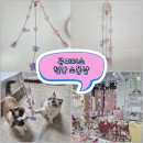 [천안] 천안 신부동 놀거리 '큐피더스'::썬캐쳐 원데이 클래스 후기