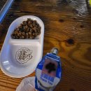 붕어카페 이미지