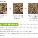 광지주 이미지