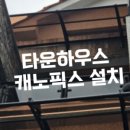 제주캐노픽스