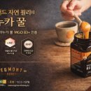 대한홍삼 건강백화점 대전본점 | 설 명절 부모님 선물로 마누카꿀 직접 먹어본 후기｜대전 신세계 솔가 구매