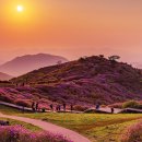 합천 이미지