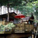 소나무이야기 펜션 이미지