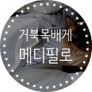 압구정메디필 | 마약배게로 유명한 거북목배게 메디필로 베개