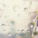 스튜디오레아 이미지