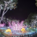 부여군청 광장 이미지