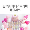 핑크캣