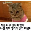 라브리지 다산역점