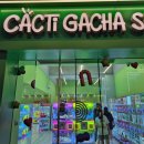 짱인형shop 이미지