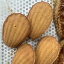 홈베이킹 제과(주간) 이미지