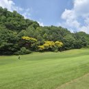 삼흥로 | [경기안성] 안성베네스트 gc (서코스, 북코스) 라운드 후기 ~!!