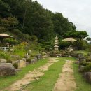 커피와소나무 이미지