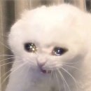 하나이비인후과 이미지