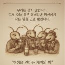 디앤트