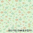 토다기 이미지