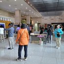 마법에 걸린 개구리왕자 이미지