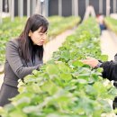 서준석농장 오마이뉴스