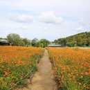 올림픽로 108길 이미지