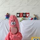 베니홈 | [기념일 소품 대여] 아기 200일 셀프촬영, 뚱이 베니비디비치 대여 후기