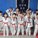 용인대SKY태권도장 이미지